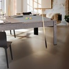 Image 23: Table de billard convertible KITBILL