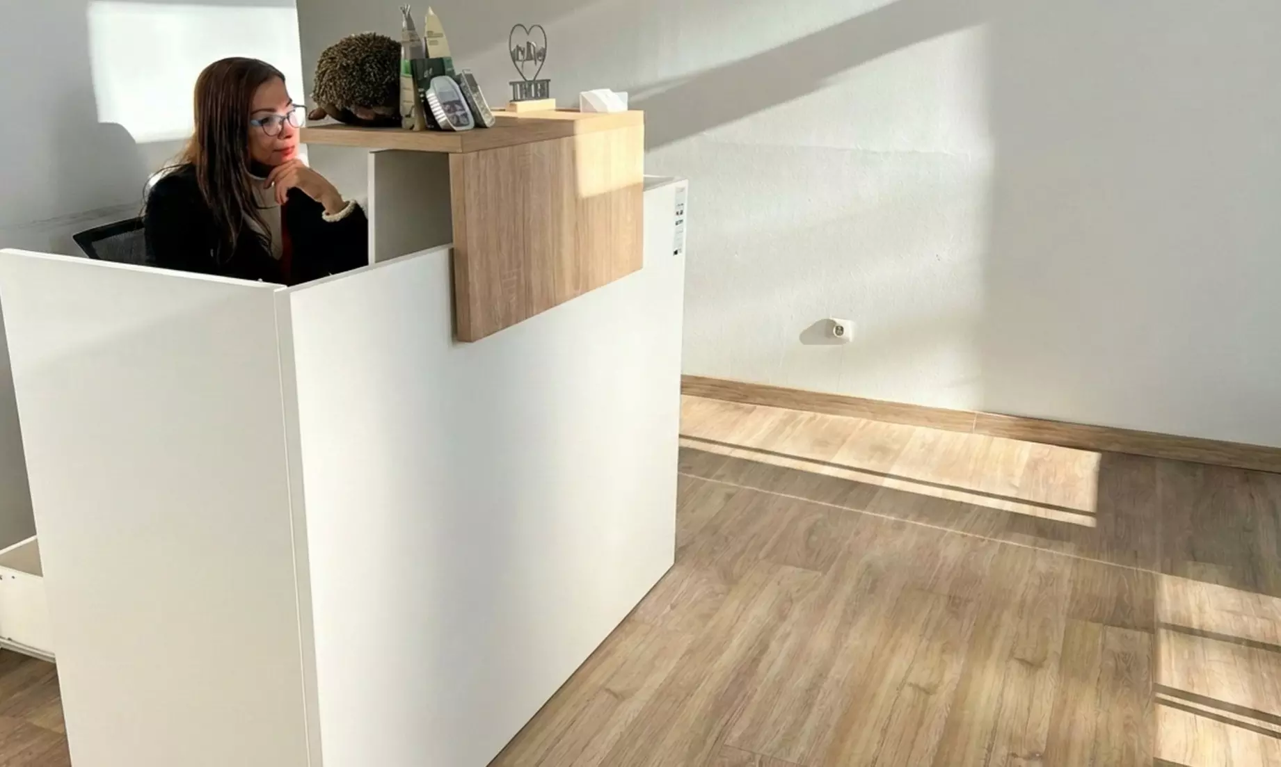 Esterilización de gatos y perras hasta 20 kg