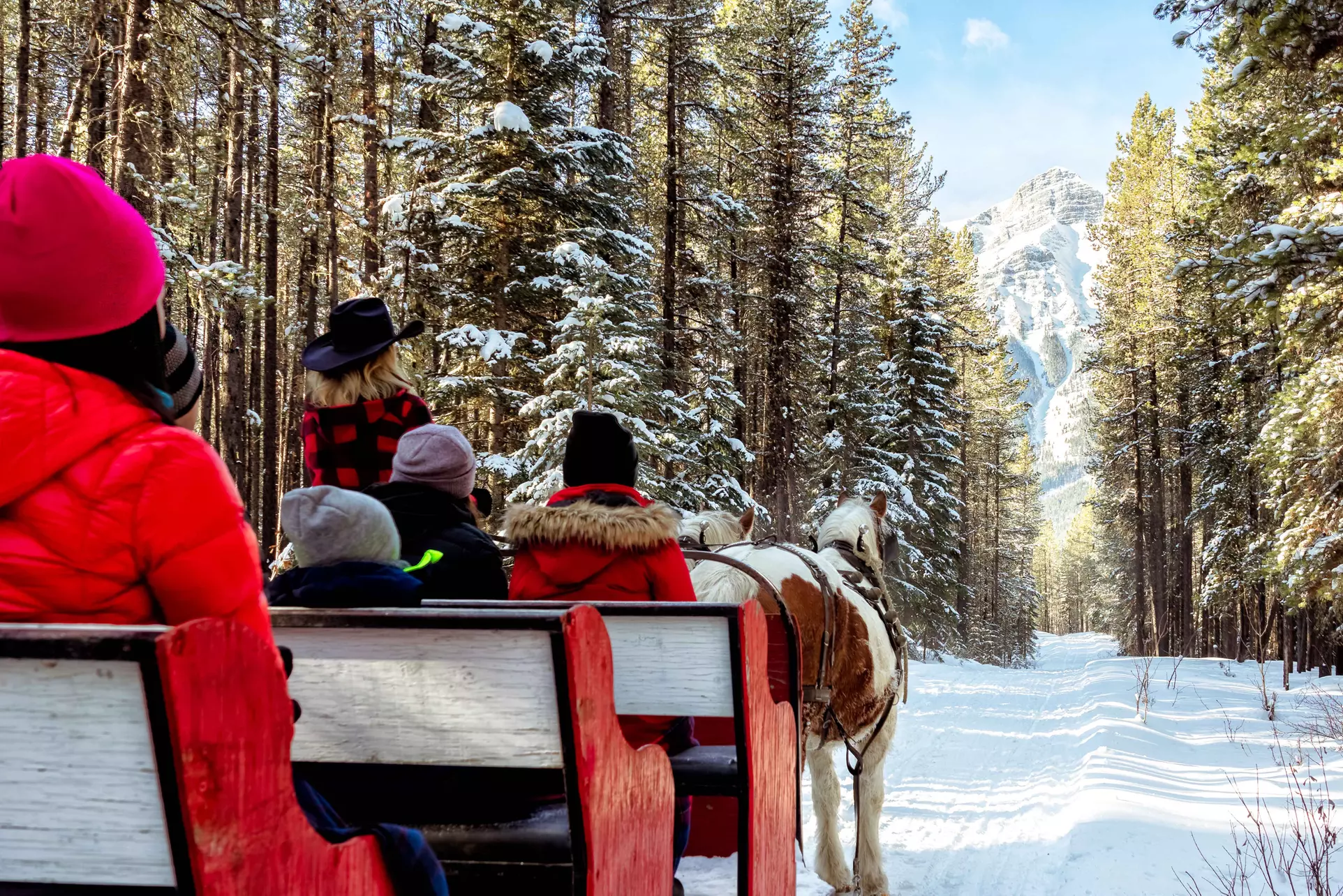 Magically Breathtaking Winter Sleigh Adventure in the Canadian Rockies