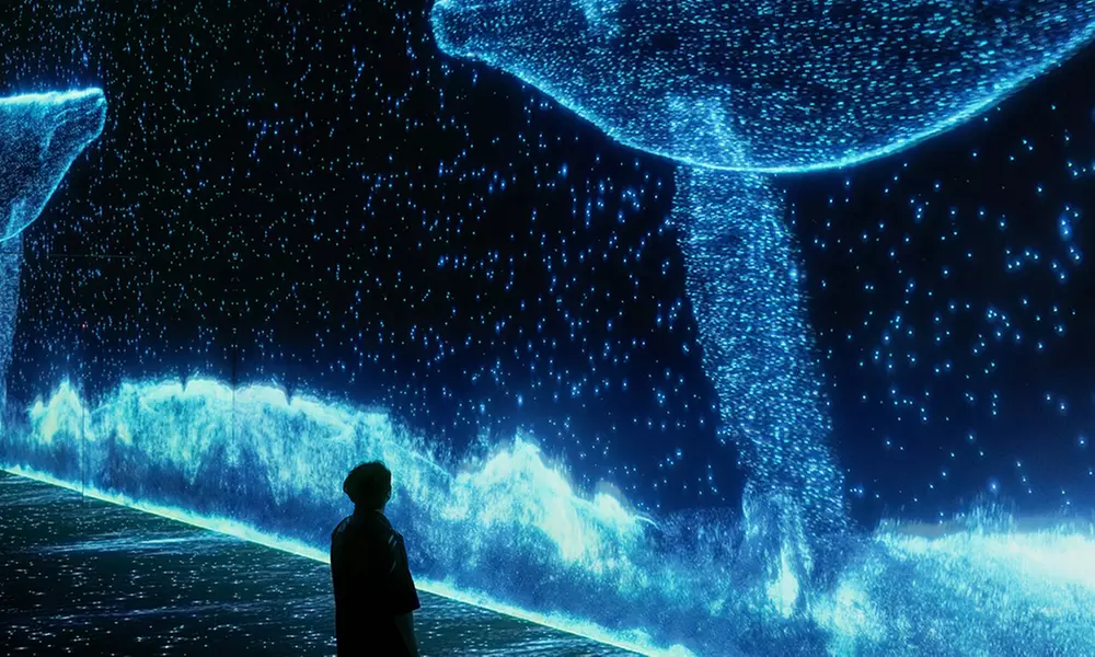 ARTE MUSEUM New York: Your All-Sensory Journey Begins