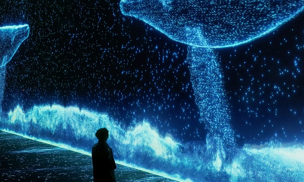 What to expect media