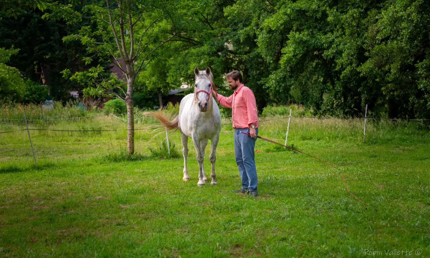 Jusqu'à 58% de remise sur Programme de remise en forme personnalisé chez L'écrin de l'Andelle - Lieu d'accueil et de ressourcement - Morville-sur-Andelle
