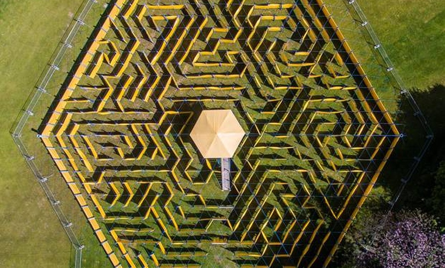 Image 1: Full-Day Maze Entry