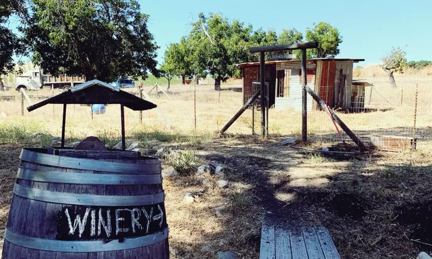 Enjoy Barrel Tasting and Winery Tour for Two, Four or Six