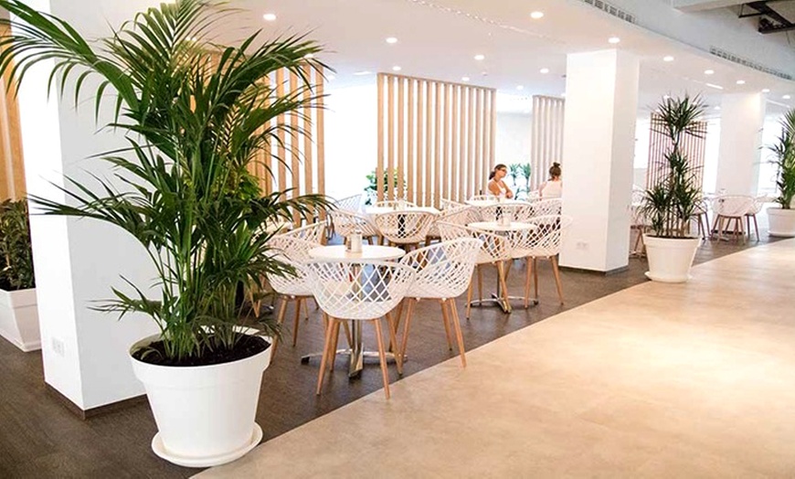 Image 19: Menú mediterráneo light o completo para 2 o 4 personas