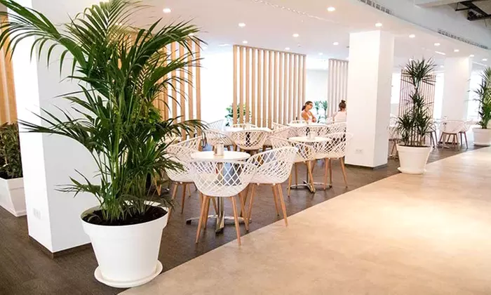 Menú mediterráneo light o completo para 2 o 4 personas