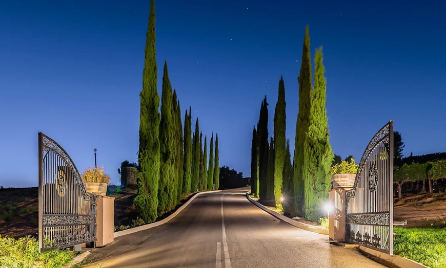 Image 5: Wine Cave Tasting Experience with Scenic Vineyard Views