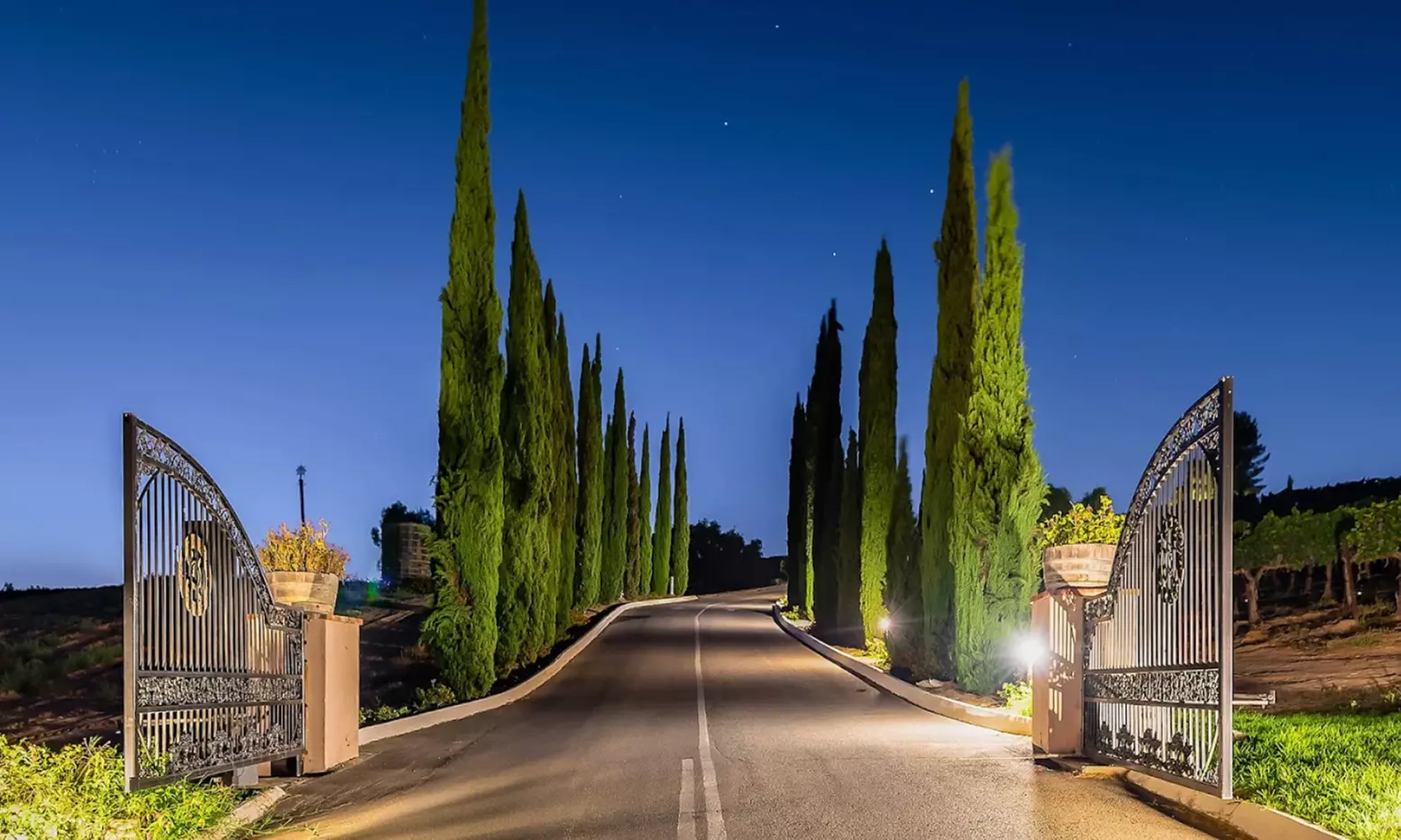 Wine Cave Tasting Experience with Scenic Vineyard Views