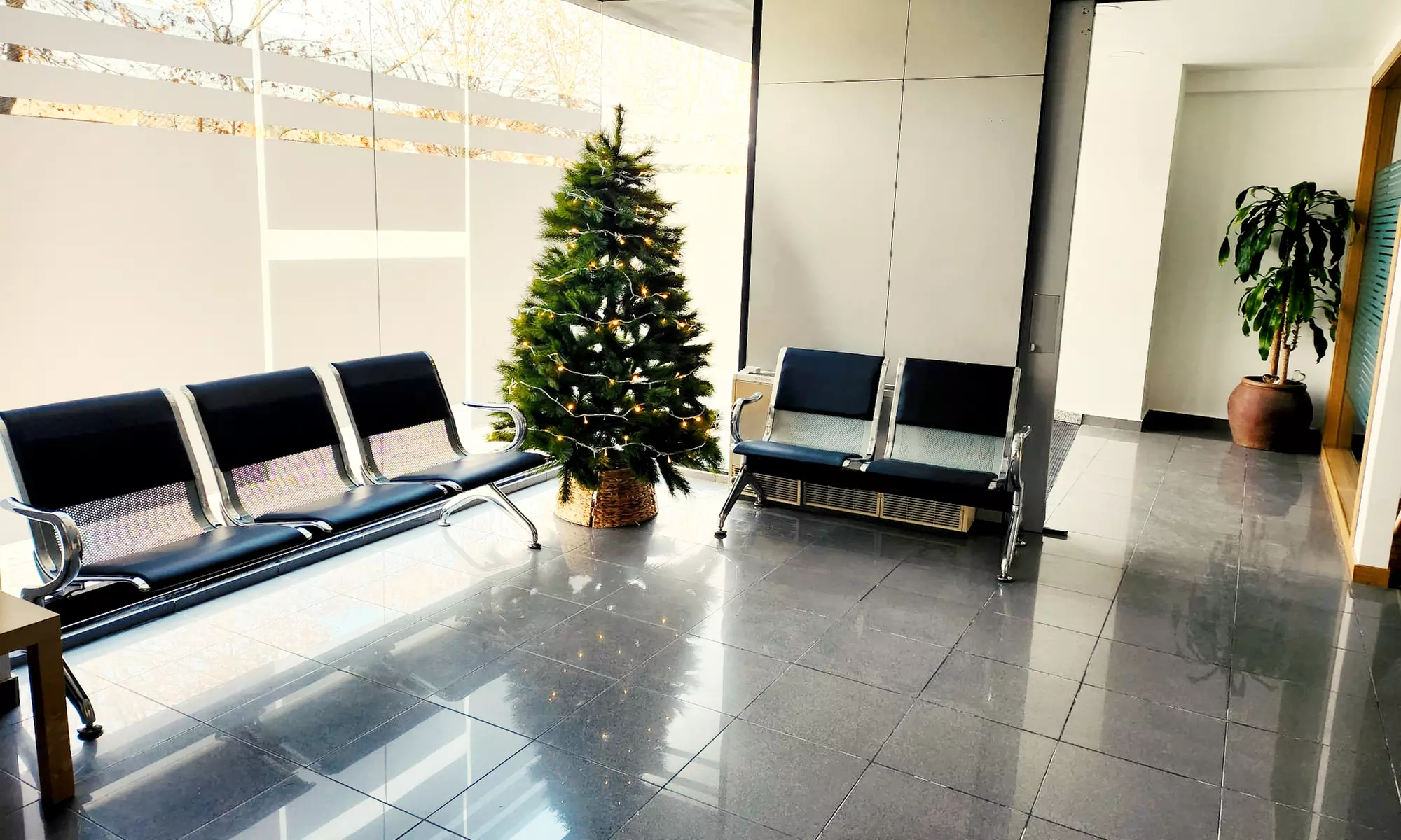 6 o 12 hilos tensores para tratamiento reafirmante facial para 1