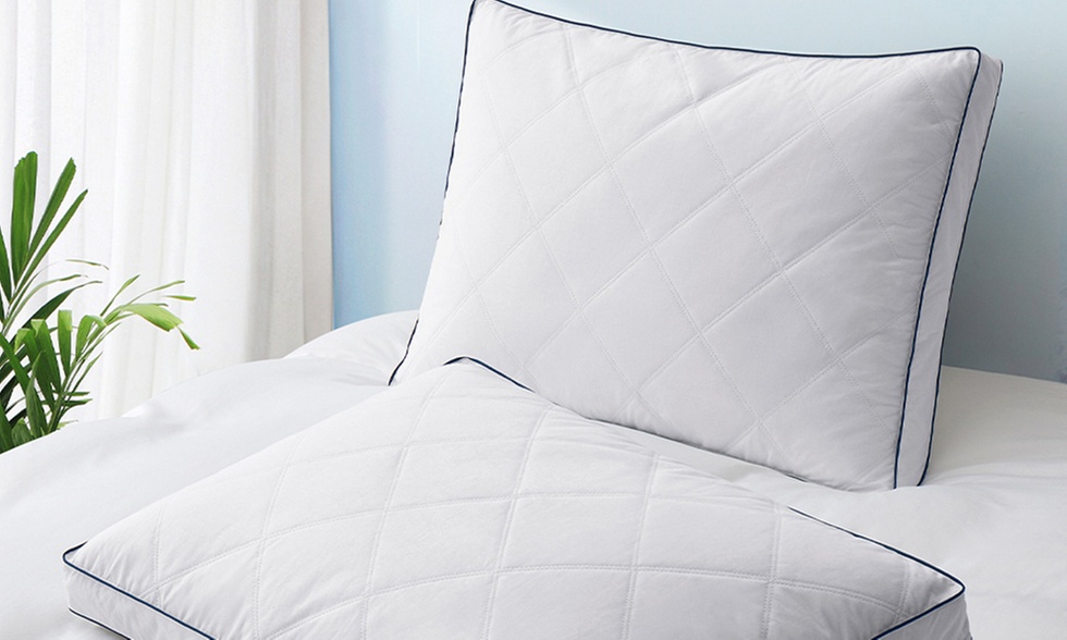 Peace Nest 2 Pack Quilted Goose Feather Down Pillow with Cotton Fabric