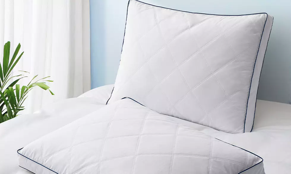 Peace Nest 2 Pack Quilted Goose Feather Down Pillow with Cotton Fabric