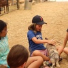 Image 2: Join Farm Fun with Admission for One, Two, or Four People 