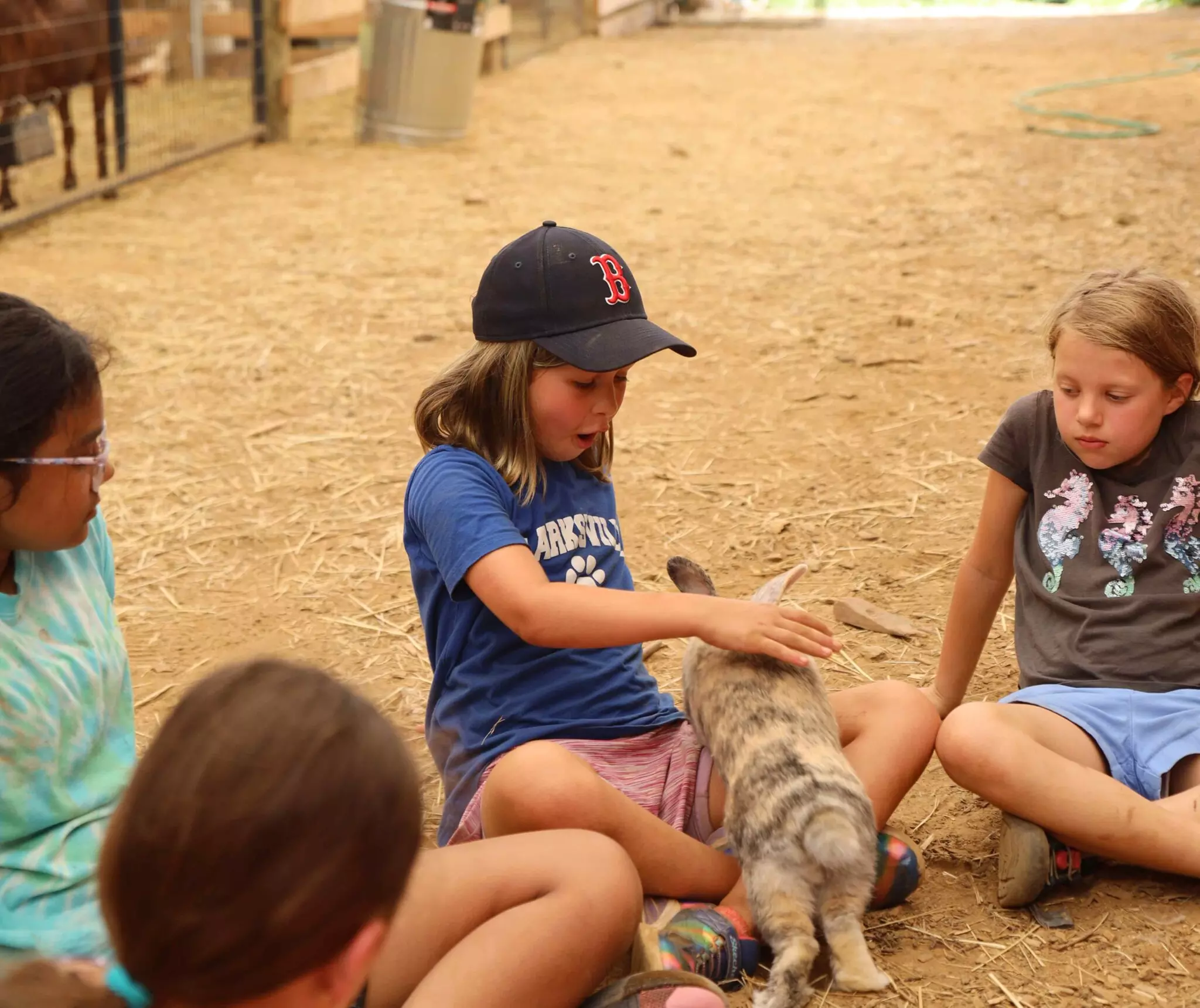 Join Farm Fun with Admission for One, Two, or Four People 