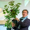 Image 12: BBC Gardeners’ World Live | June 12, 13, and 15, 2025 