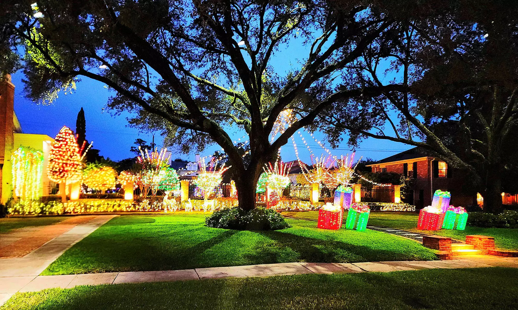 45Mins Houston Christmas Lights Tour Hayride