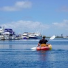 Image 3: Explore Huntington Beach with Kayaking Tours for Kids and Adults 
