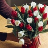 Image 3: Next Day Delivery Christmas Flowers & Gifts from 1-800-Flowers.com (up to 55% off)