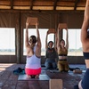 Image 15: 8-Day Yoga & Safari Retreat