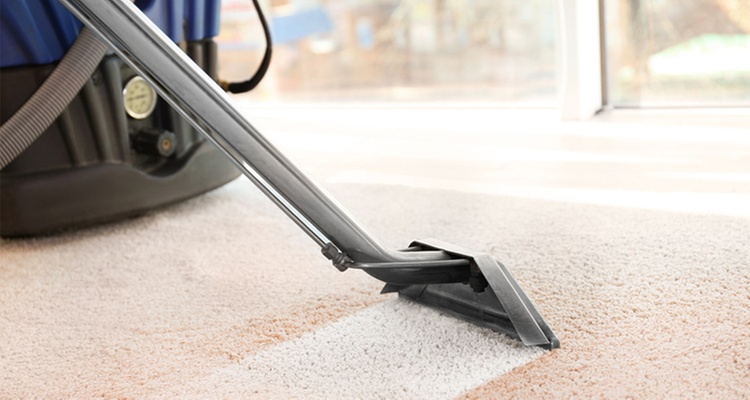 Steam Cleaning for 3, 4, 5, or 6 Rooms, One Hallway, Closets & More