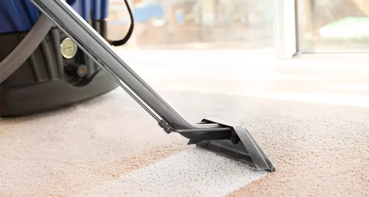 Steam Cleaning for 3, 4, 5, or 6 Rooms, One Hallway, Closets & More