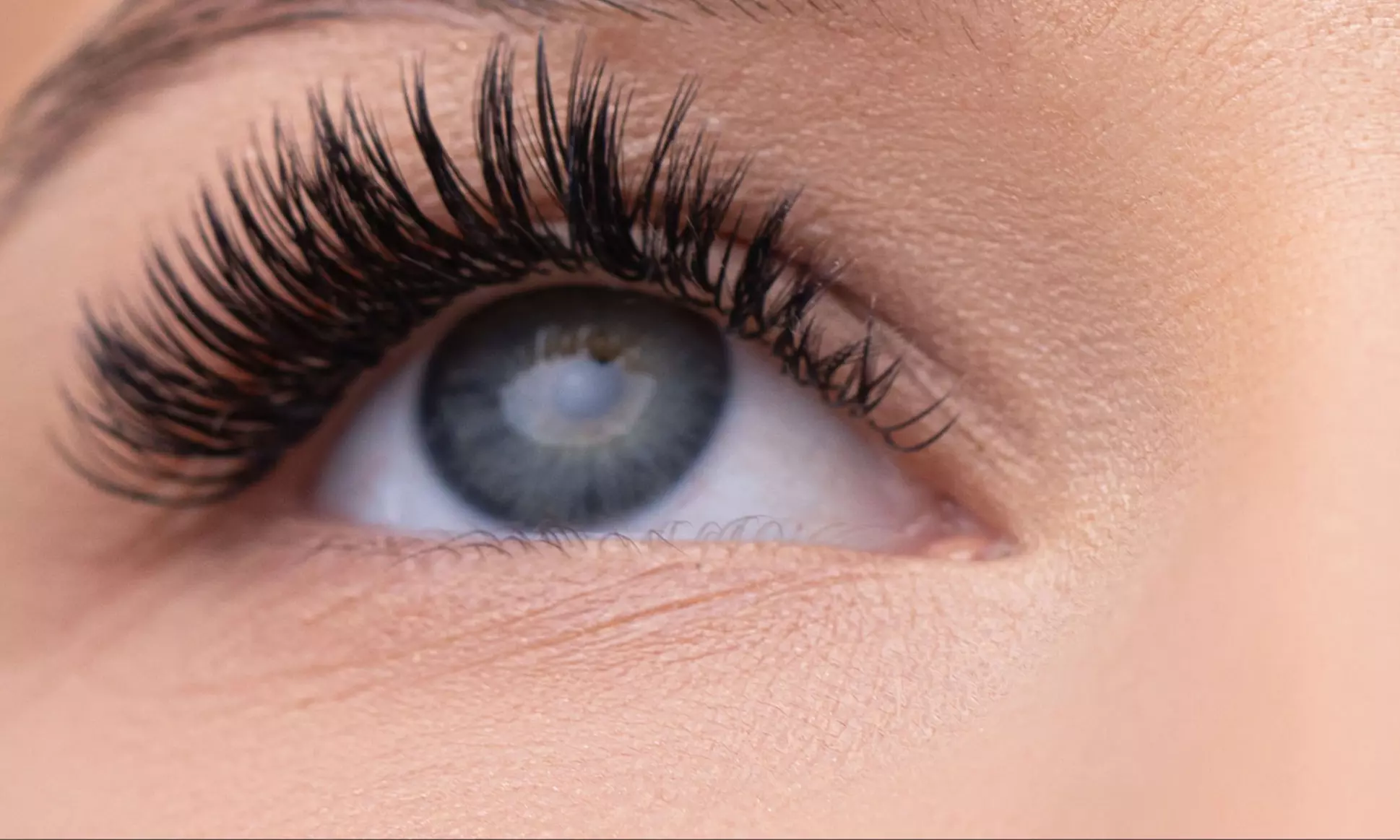 Classic or Volume Lash Extensions + 3-Week Refill Option