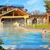 Image 9: Bilety do strefy basenowej i spa w Termach Gorący Potok w Szaflarach