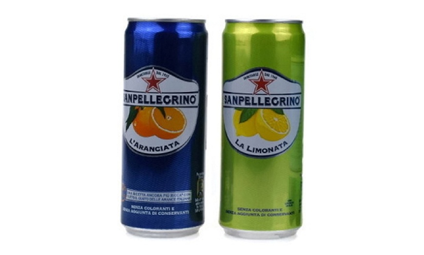 Image 1: 24 Cans San Pellegrino 330ml