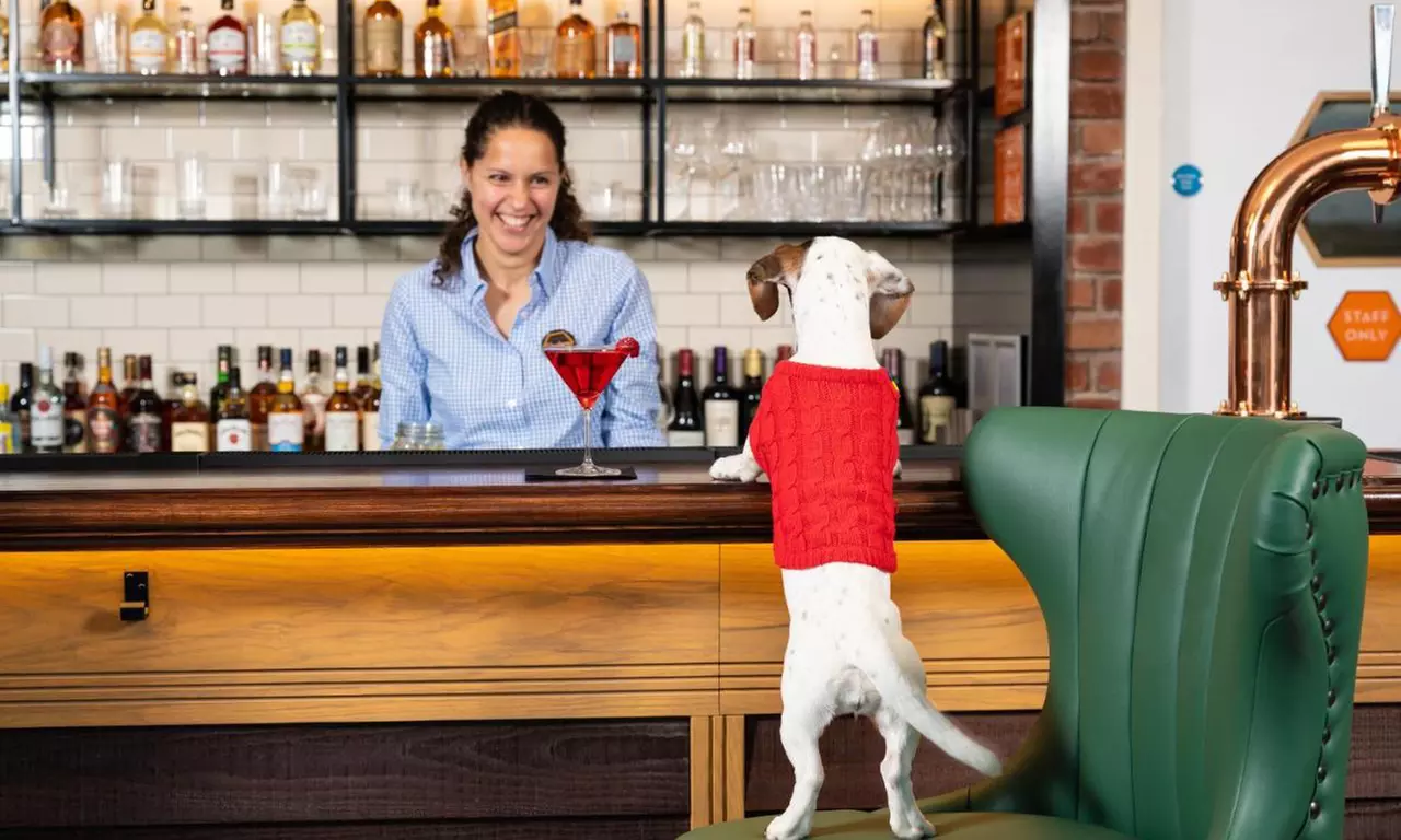 Somerset: Standard Double Room with En Suite and Breakfast