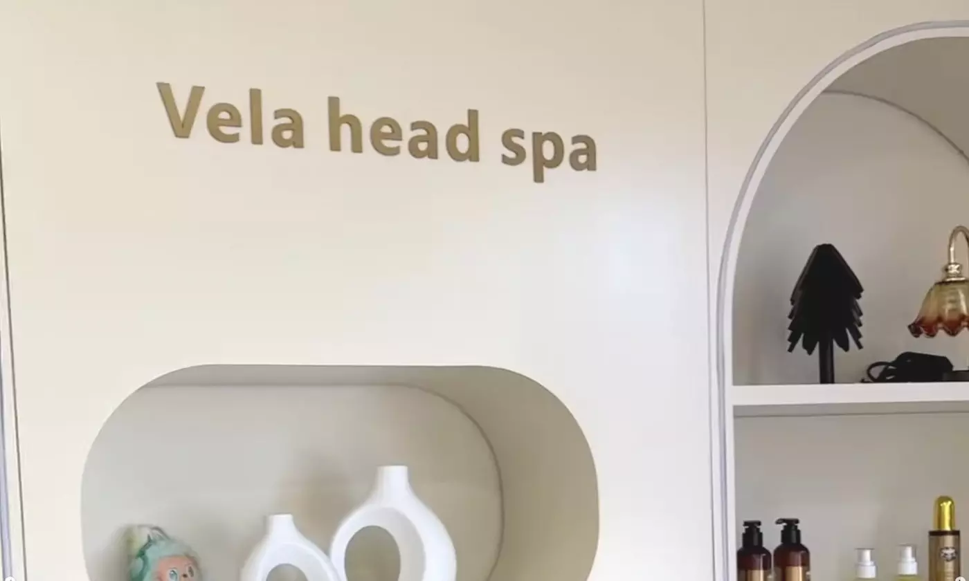 Luxury Head Spa for 1 or 2 with Mini-Facial or Back Massage