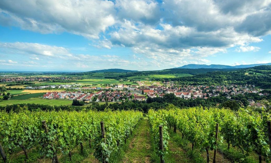 Image 9: Alsace : studio pour 2 personnes