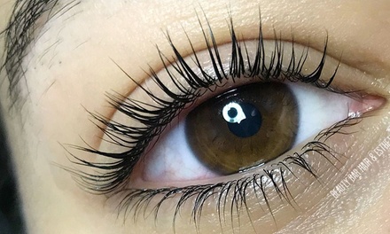 Lash Lift Treatment - Bee Beauty Lash and Brow
