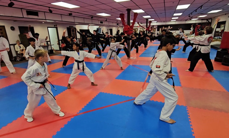Image 6: 1 or 2 Months of Korean Martial Arts with Uniform Options