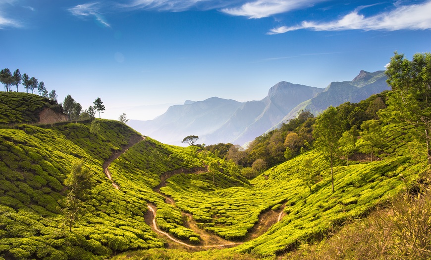 Image 3: ✈ Kerala: 7 Nights with Hotels & Return Flights