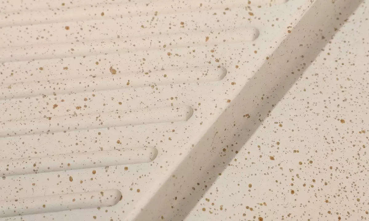 Dual Zone Non-Stick Grill Pan