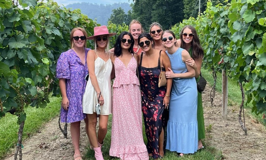 Image 6: Up to 20% Off on Wine / Vineyard Tour at NC Wine Gals