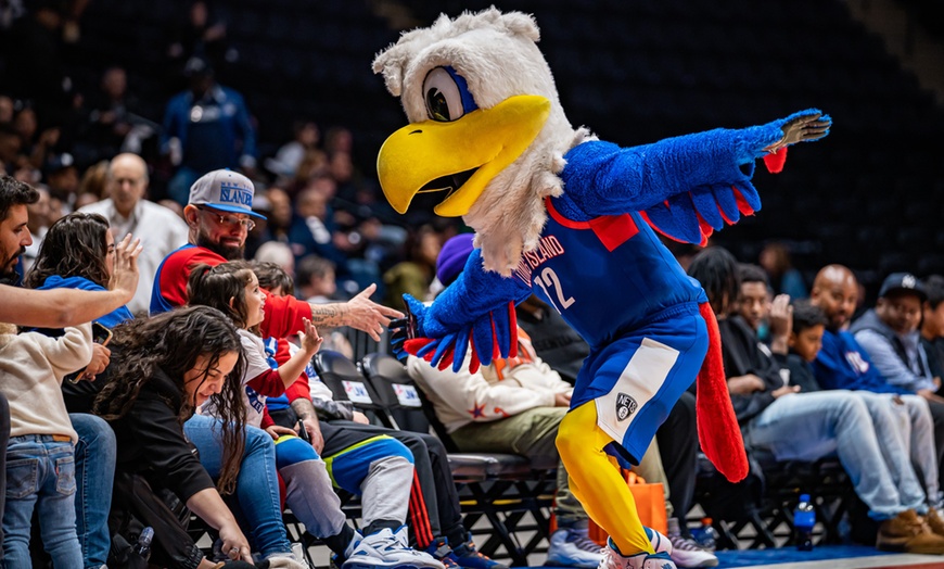 Image 2: Long Island Nets - Up to 37% Off