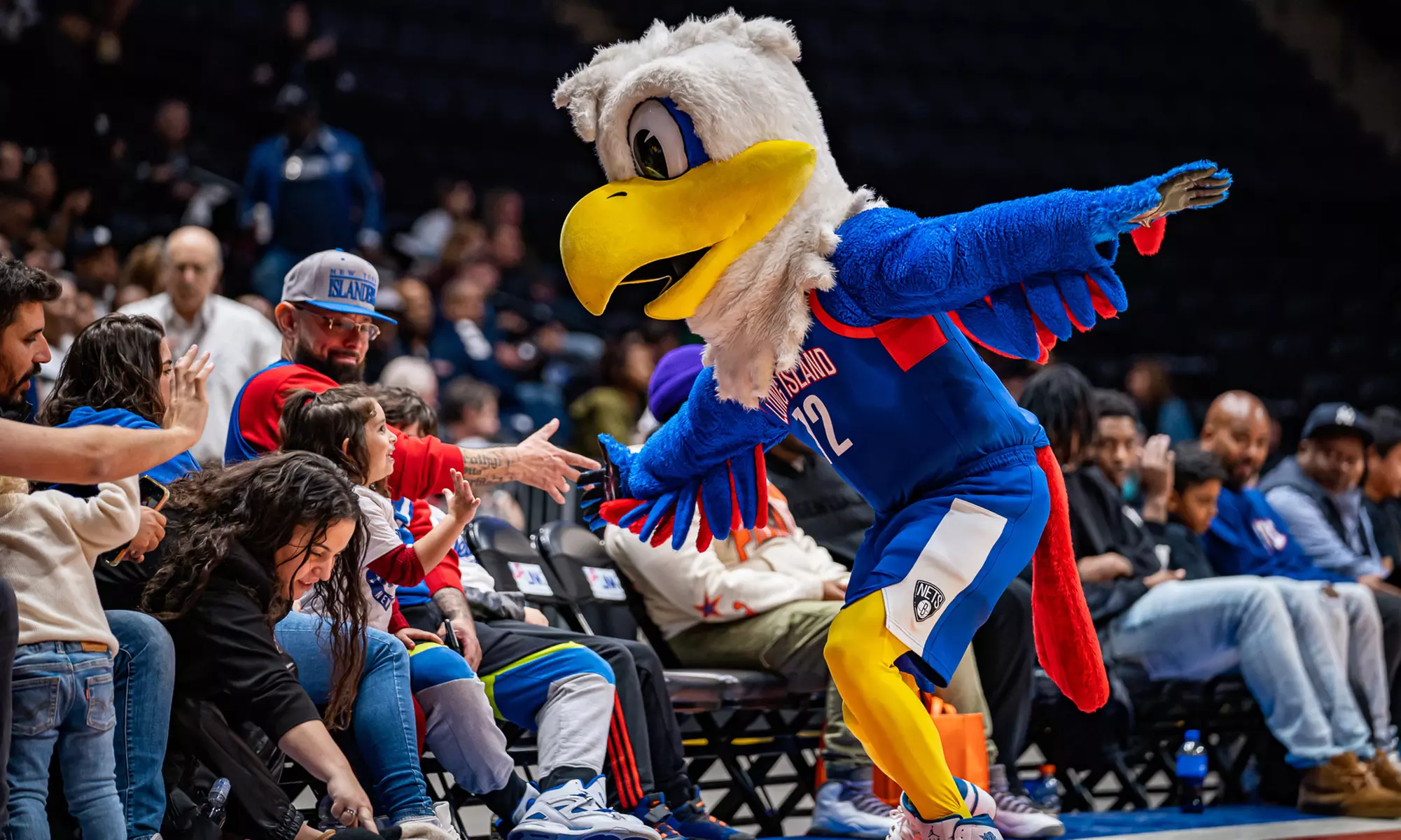 Long Island Nets - Up to 37% Off