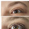 Image 3: Wimpern- &/oder Augenbrauen-Lifting + Färben oder Wimpernverlängerung