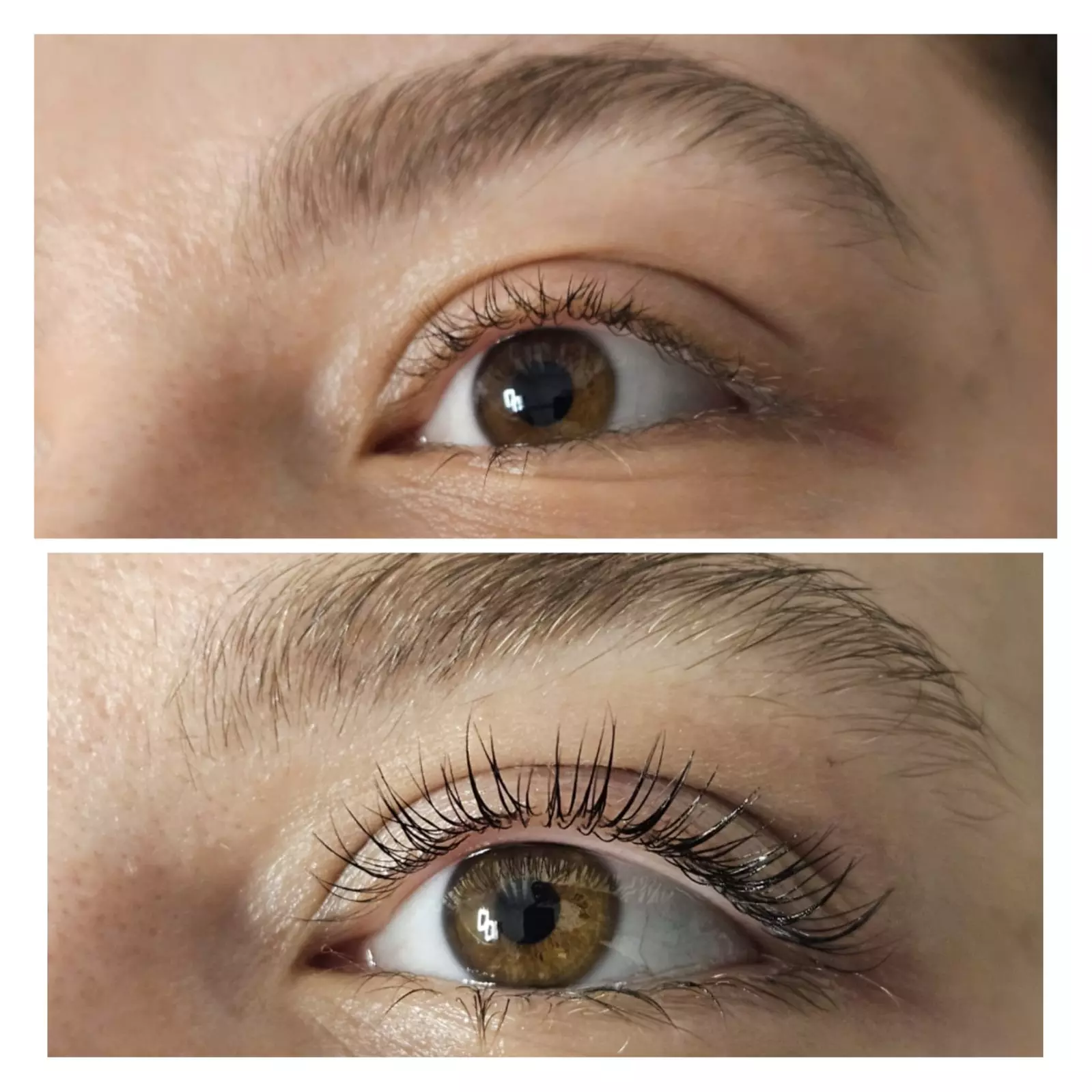 Wimpern- &/oder Augenbrauen-Lifting + Färben oder Wimpernverlängerung