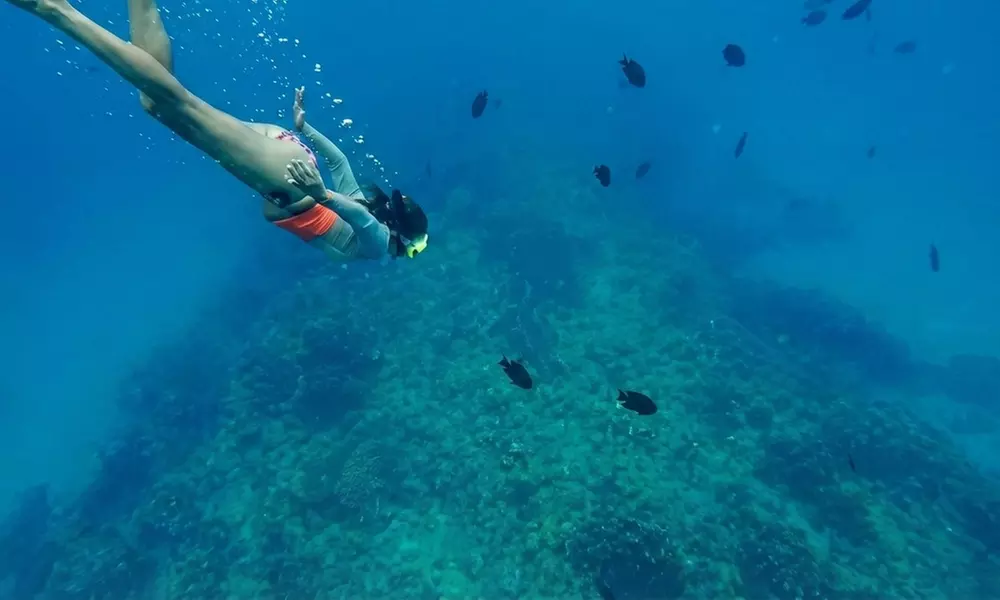 Kāneʻohe Sandbar Splash & Snorkel Adventure from Waikīkī
