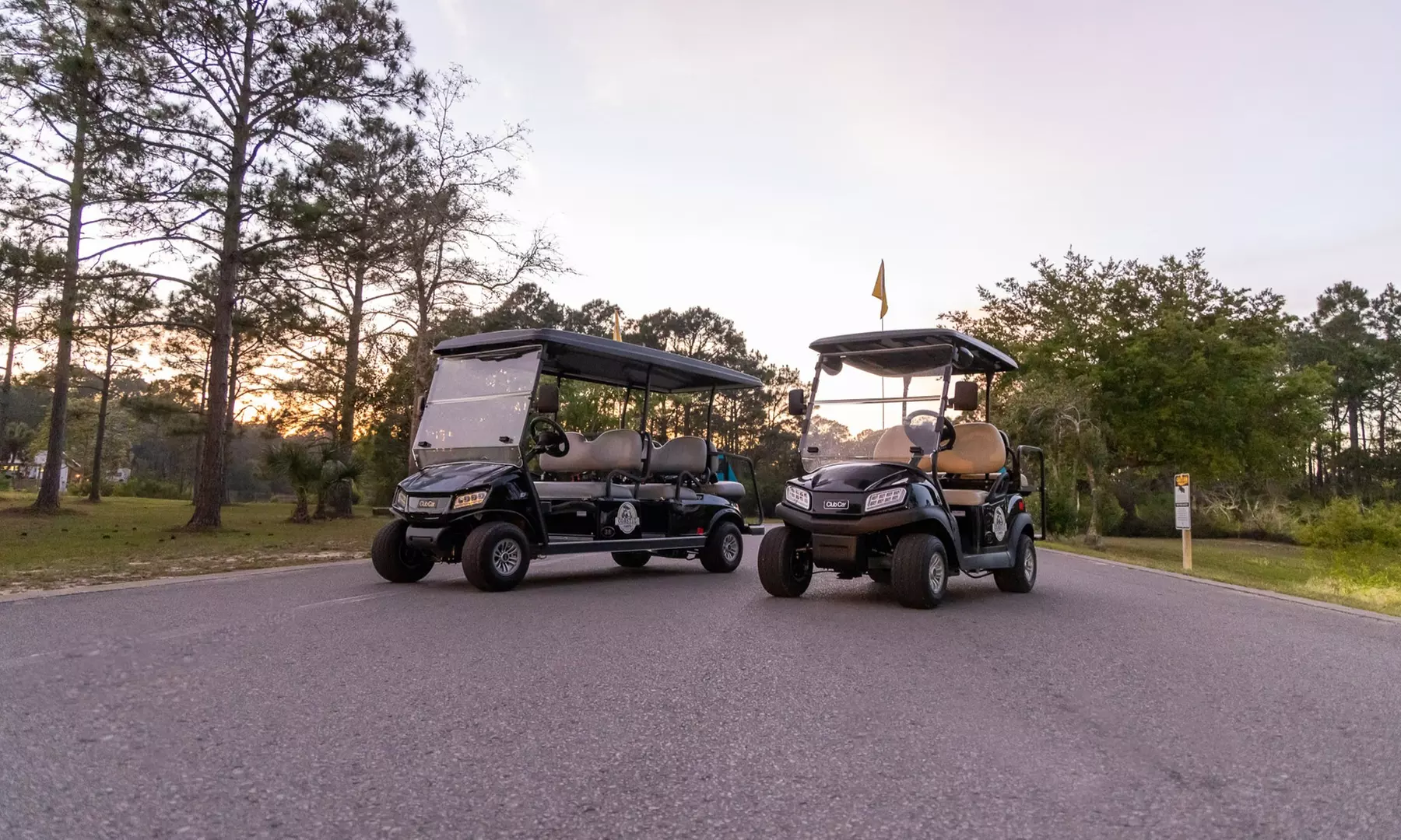 Golf Cart Rentals – Weekday Fun in Indian Point