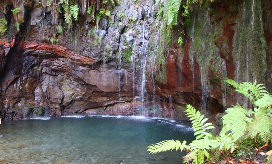Image 9: ✈ 6-Day Madeira: Explore Portugal's Garden Island with Flights and Car