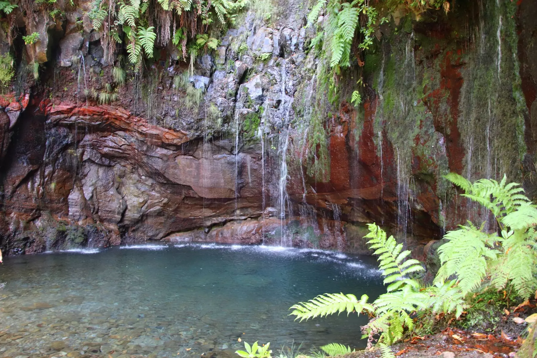 ✈ 6-Day Madeira: Explore Portugal's Garden Island with Flights and Car