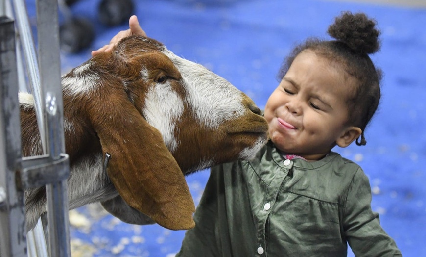 Image 4: Novi Pet Expo: Michigan's Largest Pet Celebration