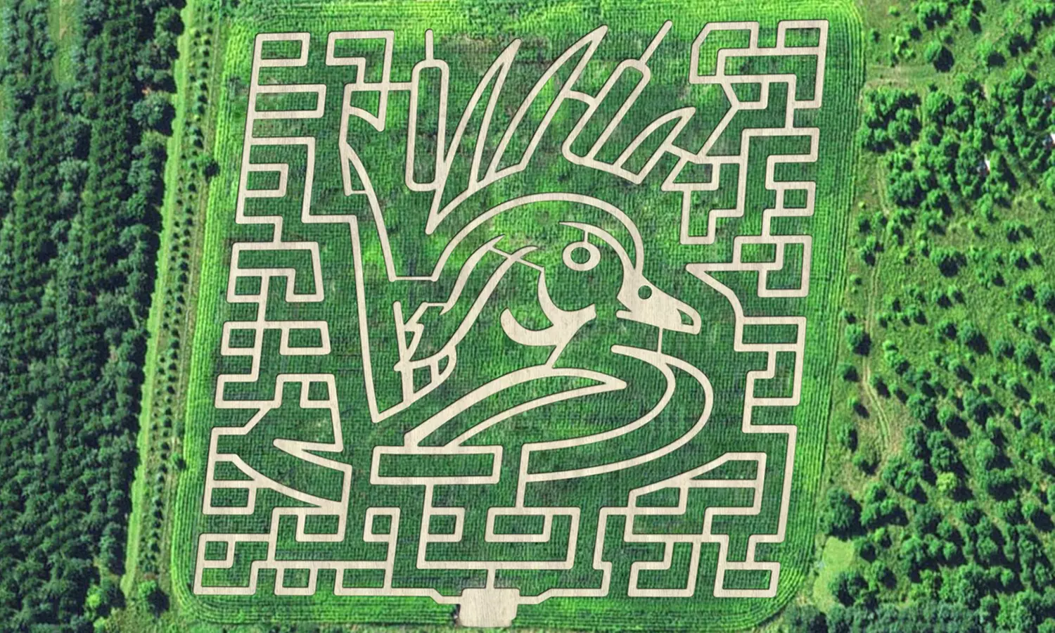 One, Two, or Four Single-Day Corn-Maze Admission Tickets at Montgomery Orchard (Up to 44% Off) - Primary Image