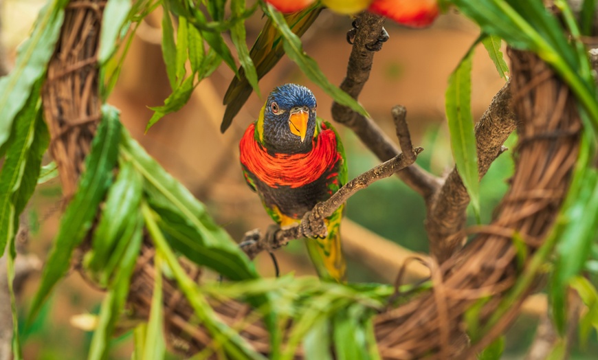 Image 6: Wildlife & Meadow Park Fun – Tickets for 2, 3, 4 or 6