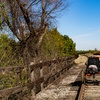 Image 7: Railbike Experience for up to Two People across California's Groves!