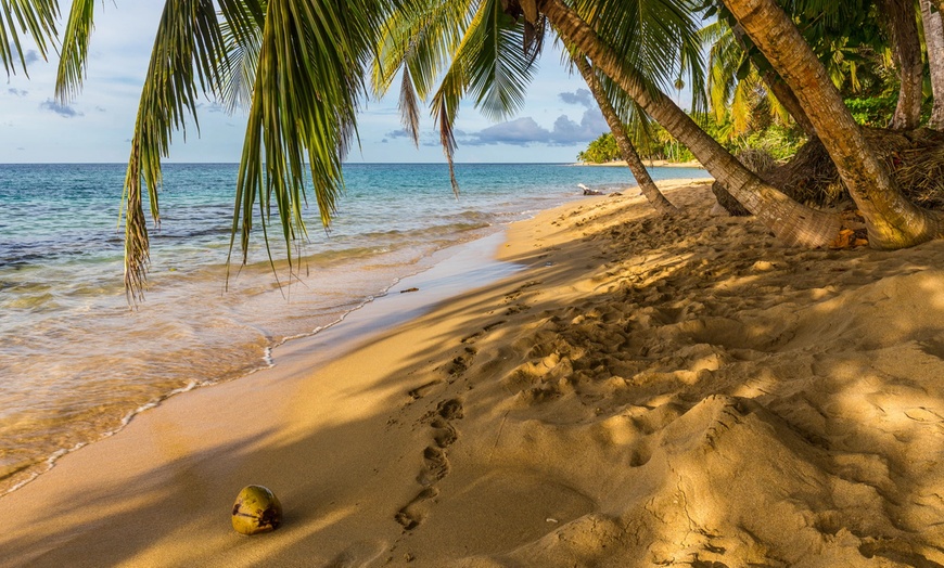 Image 29: ✈ 12-Day Ultimate Costa Rica RoadTrip w/ Air, Hotel & Car from Worldee