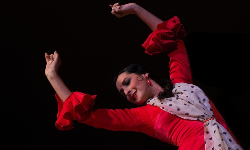 Image 9: Espectáculo de baile flamenco