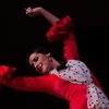 Image 9: Espectáculo de baile flamenco